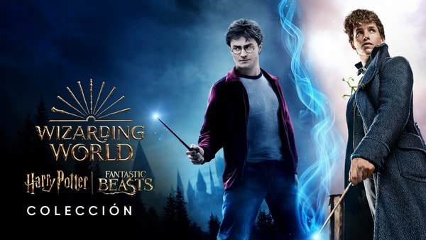 Banner Publicitario harry potter